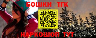 индика Мариинск