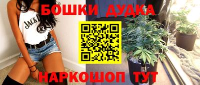 индика Мариинск