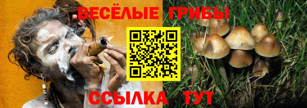 Гурьевск  Псилоцибиновые грибы Magic Shrooms  Вход с VPN 